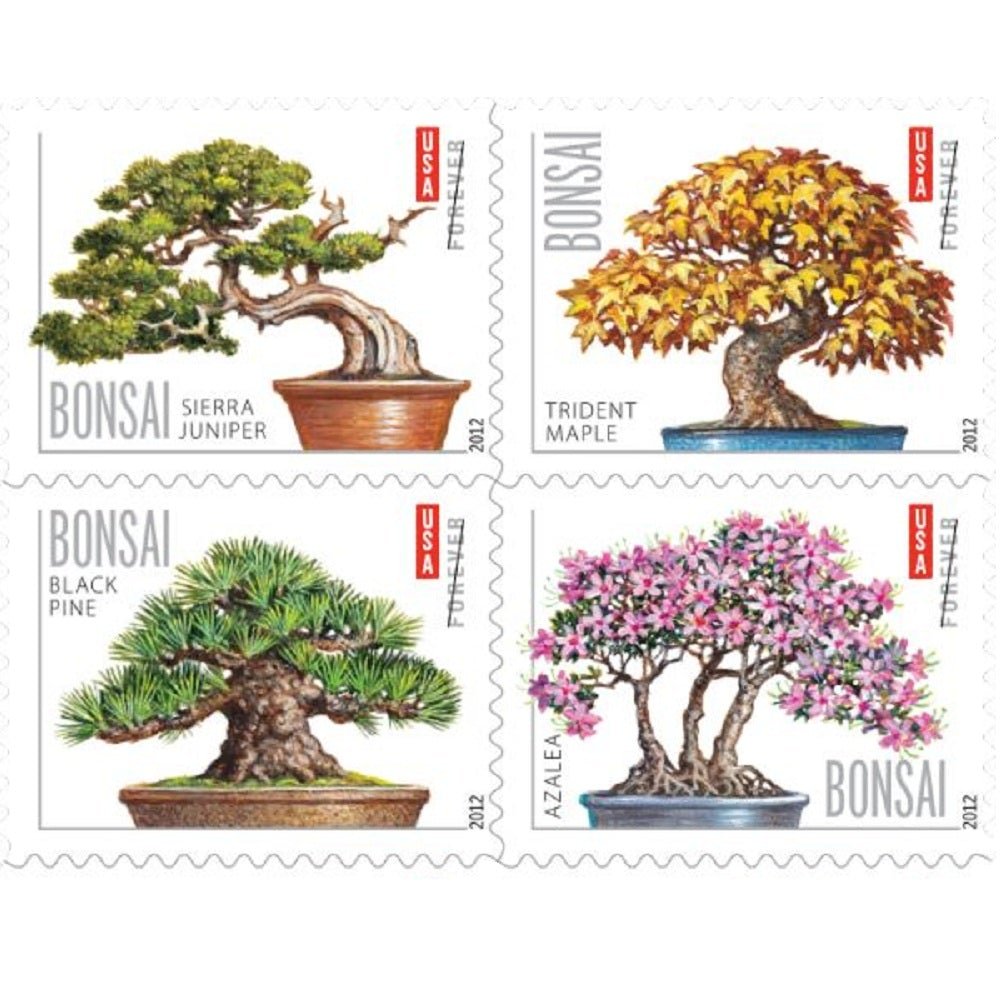 Bonsai2012_1