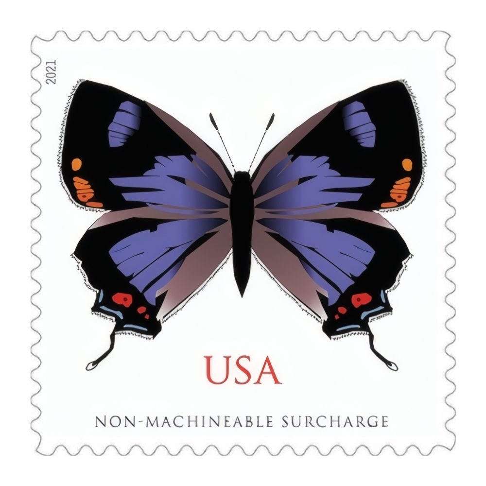 ColoradoHairstreak2021