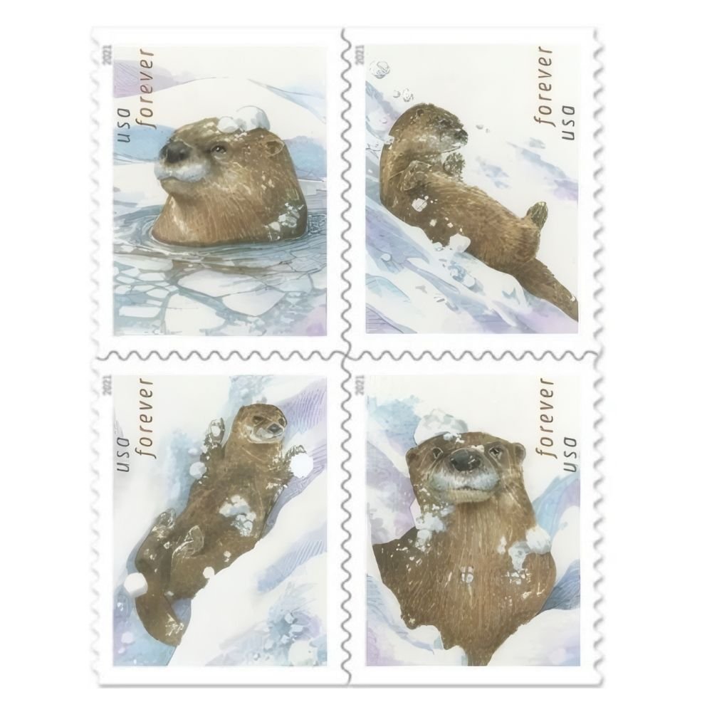 OttersinSnow2021