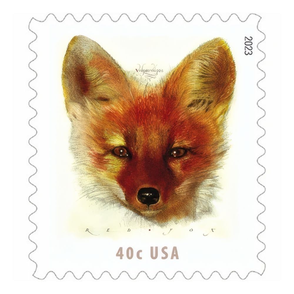 RedFox2023