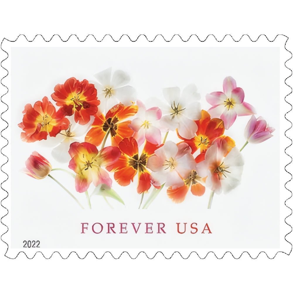 Tulips2022