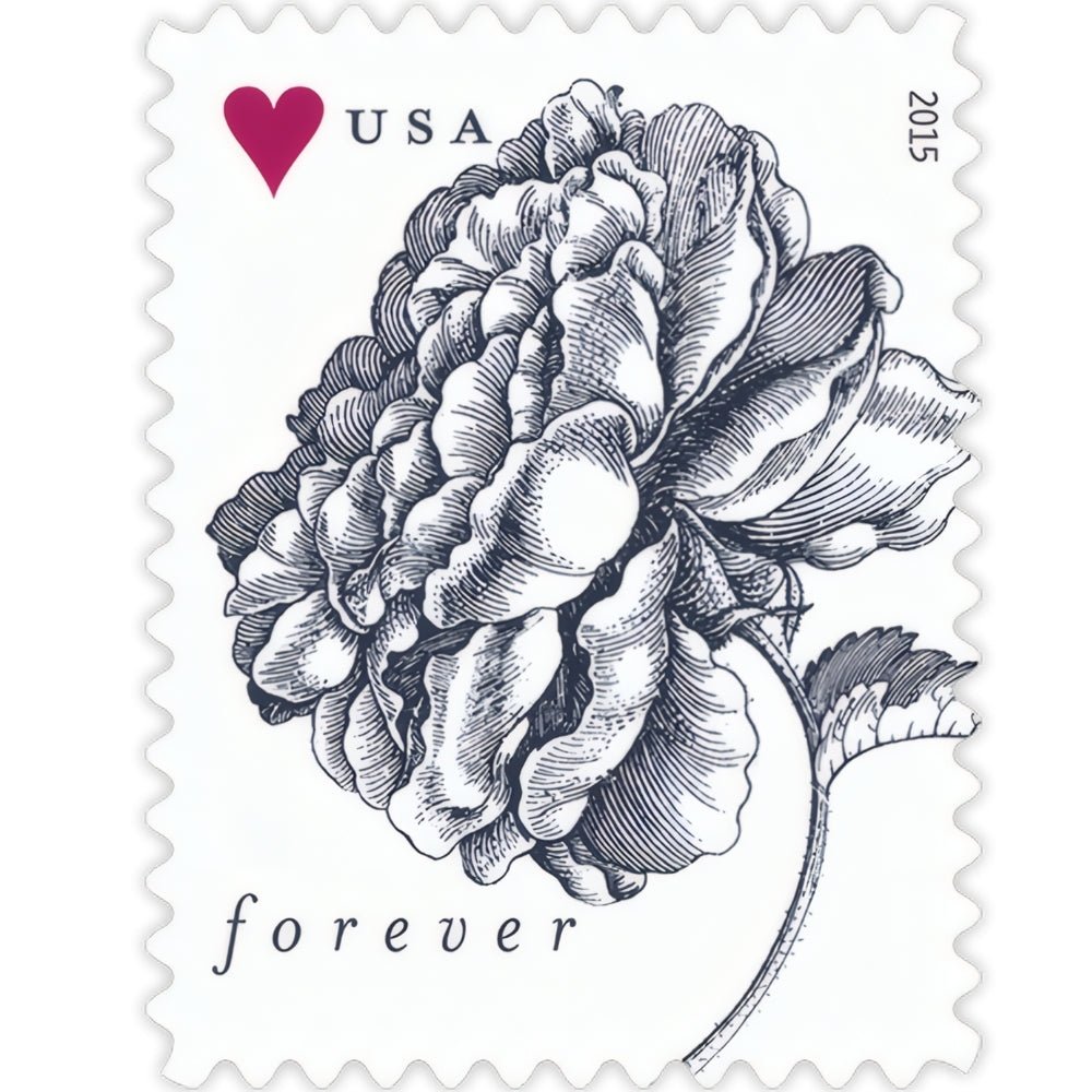 VintageRose2015